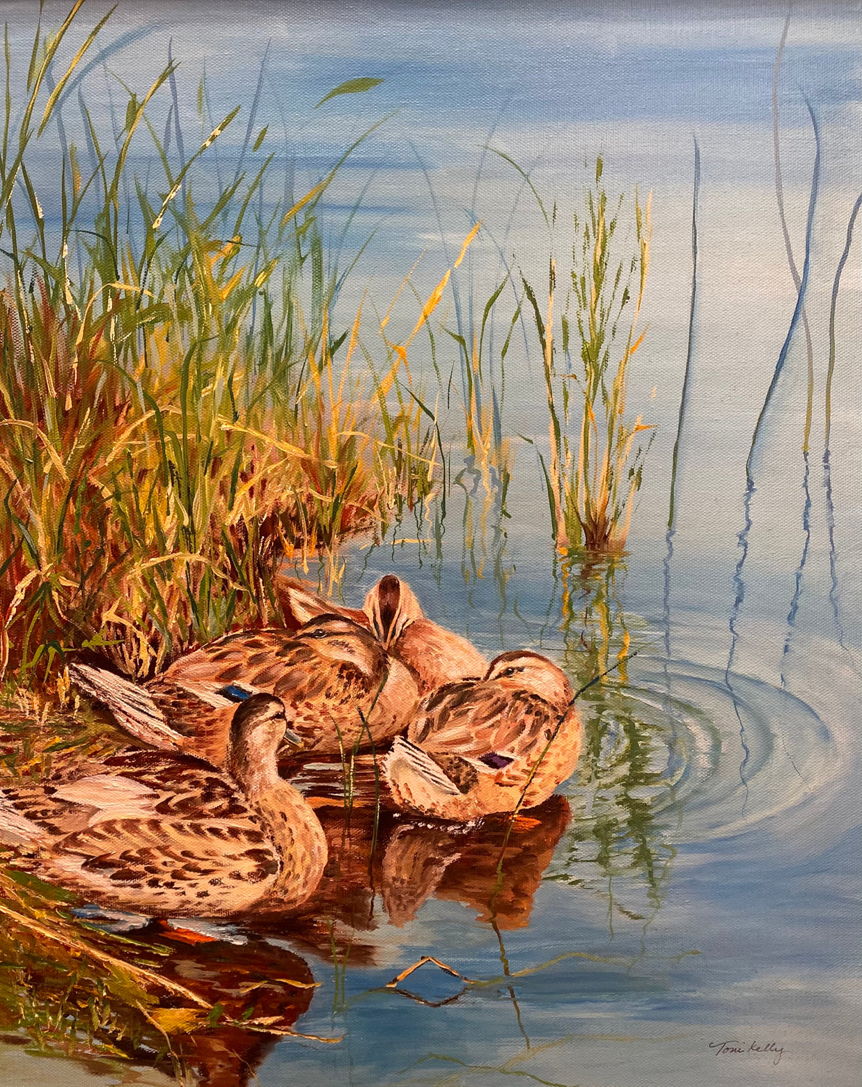 Tranquil Hens (Mallards)