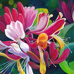 Golden Flame Honeysuckle