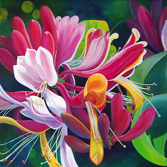 Golden Flame Honeysuckle