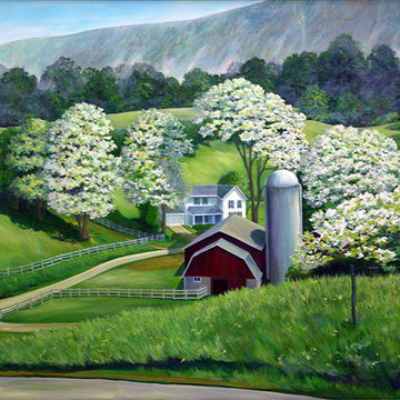 Locust Trees in Bloom